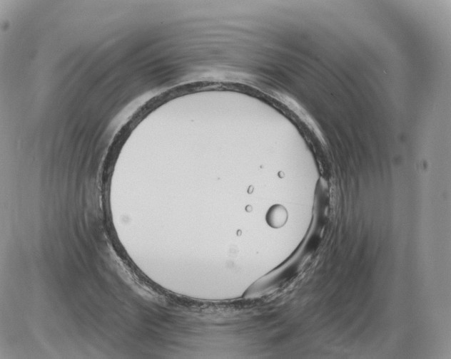 X0000086070972200704202122