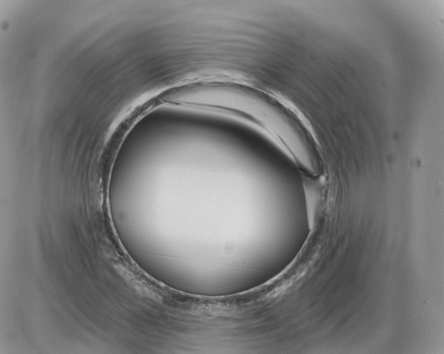 X0000086070973200704202122