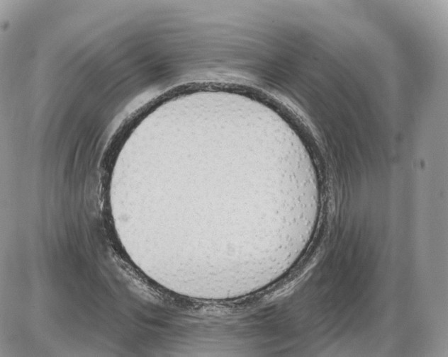 X0000086070974200704202122