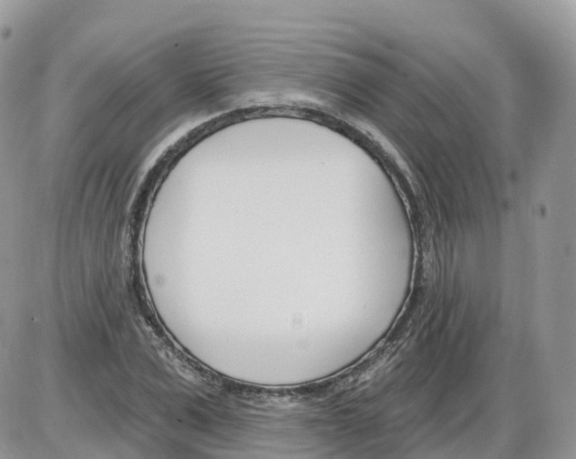 X0000086070975200704202122