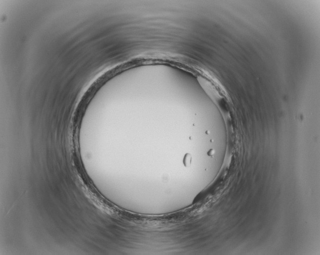 X0000086070976200704202122