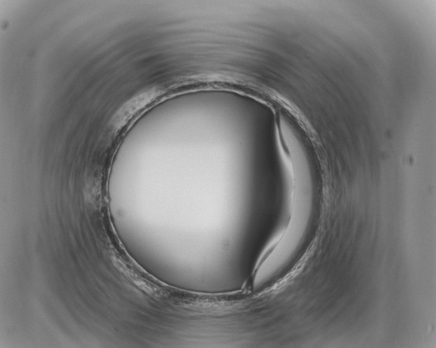 X0000086070977200704202122