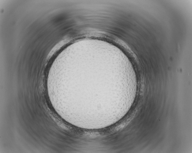 X0000086070978200704202122