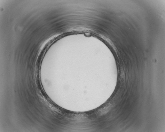 X0000086070979200704202122