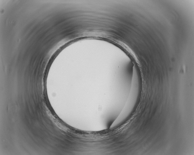 X0000086070980200704202122