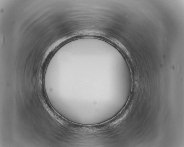 X0000086070981200704202122