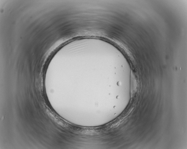 X0000086070982200704202122