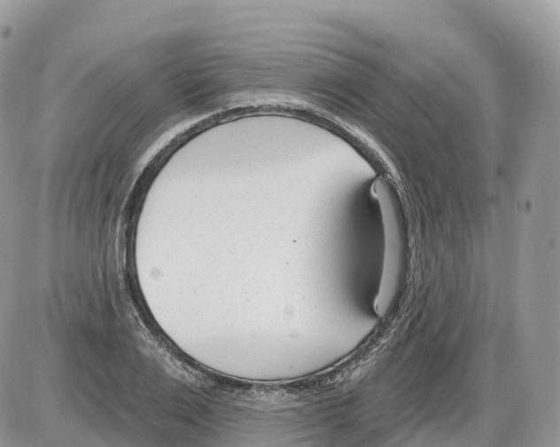 X0000086070983200704202122