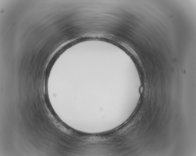 X0000086070984200704202122