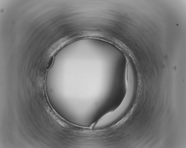 X0000086070985200704202122