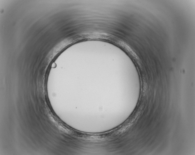 X0000086070986200704202122