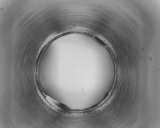 X0000086070989200704202122