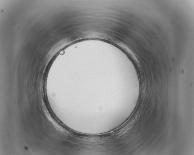 X0000086070991200704202122