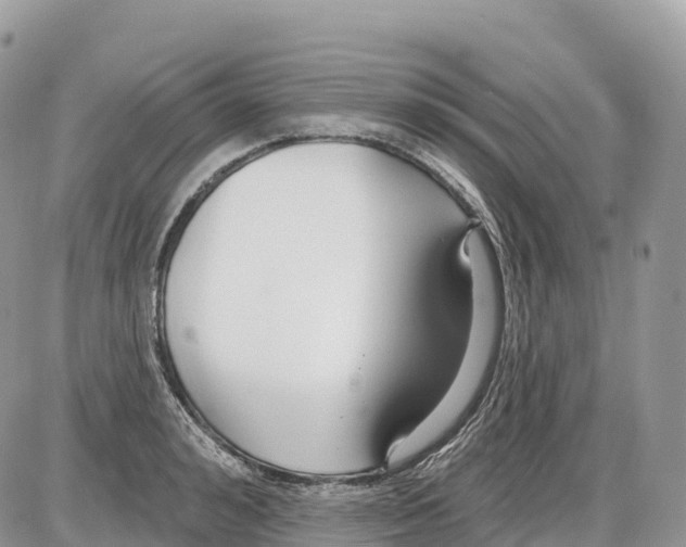 X0000086070992200704202122