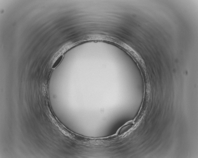 X0000086070993200704202122