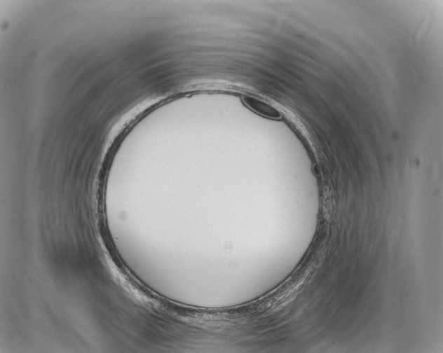 X0000086070995200704202122