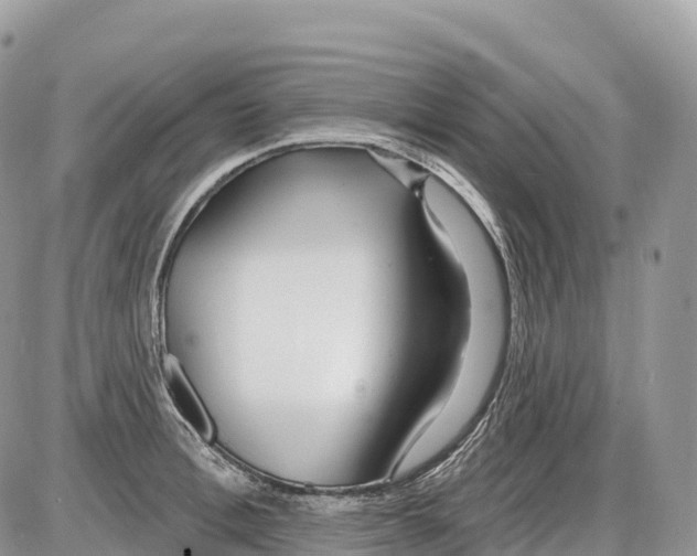 X0000086070996200704202122