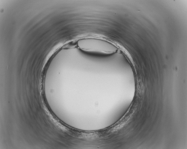 X0000086070997200704202122