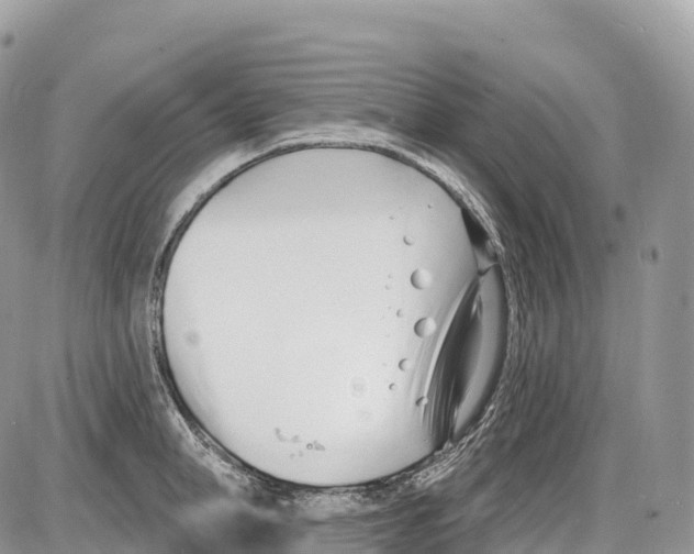 X0000086070998200704202122