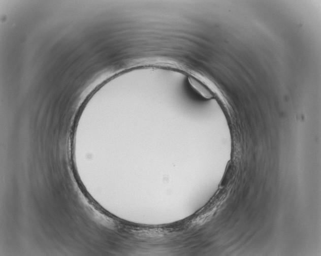 X0000086070999200704202122