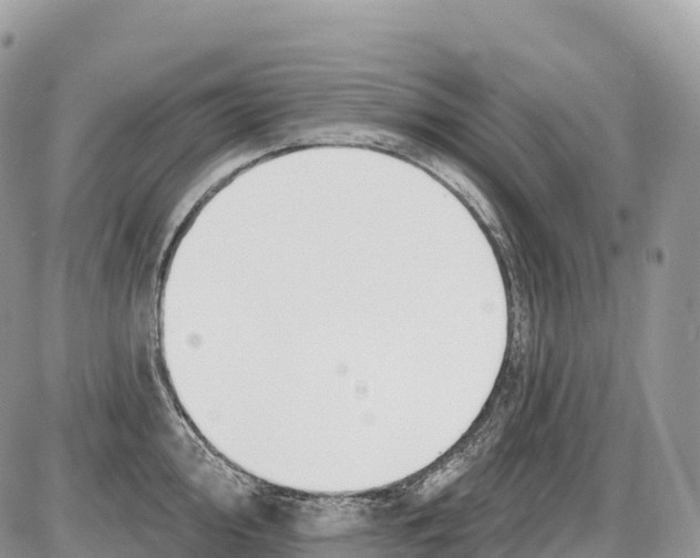 X0000086071000200704202122