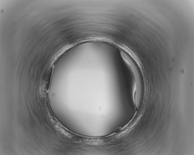 X0000086071001200704202122