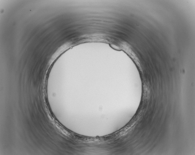 X0000086071002200704202122