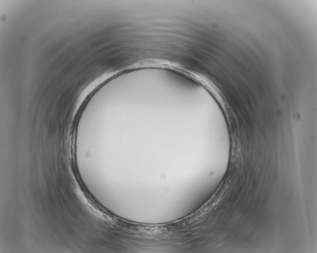 X0000086071003200704202121