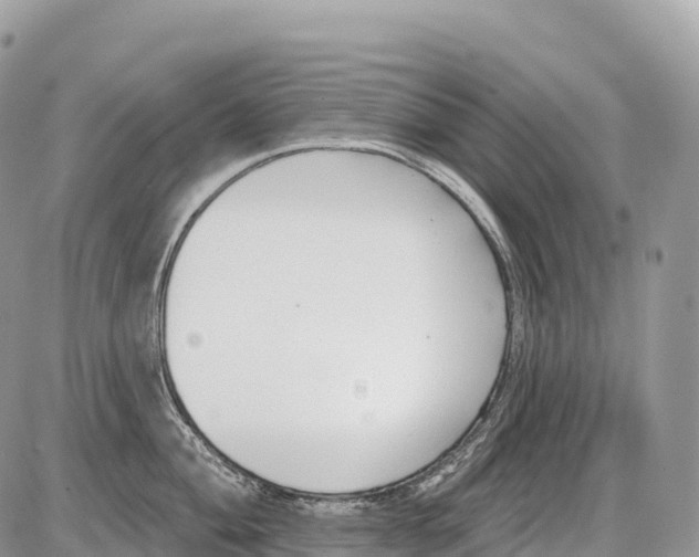 X0000086071004200704202121