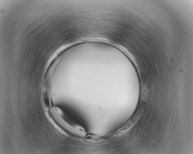 X0000086071005200704202121