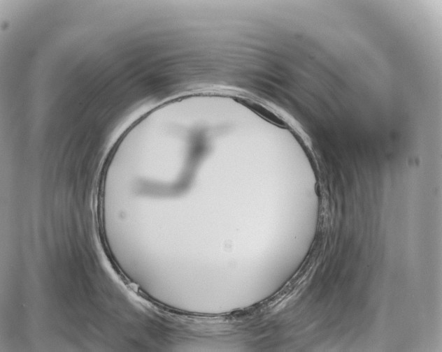 X0000086071007200704202121