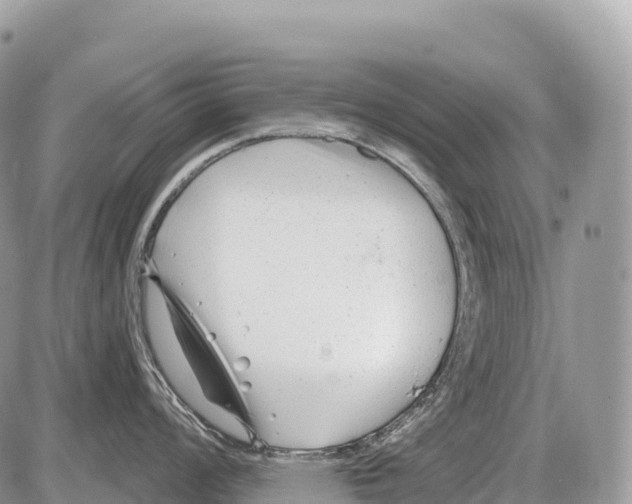 X0000086071008200704202121