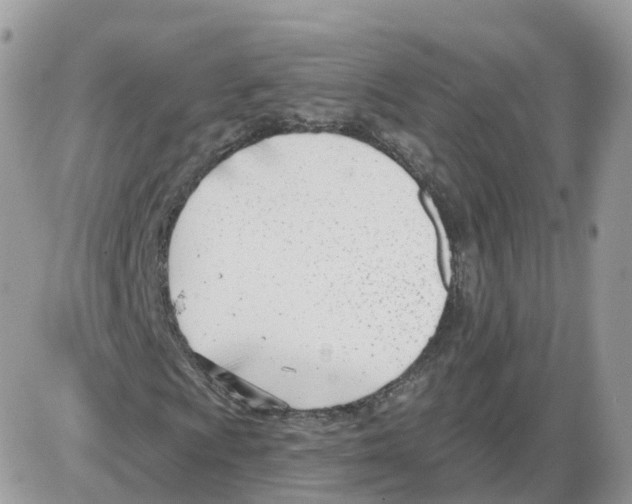 X0000086071009200704202121