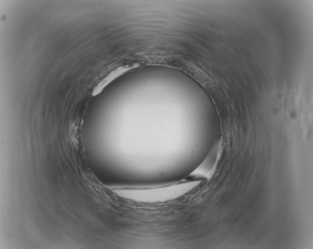 X0000086071010200704202121