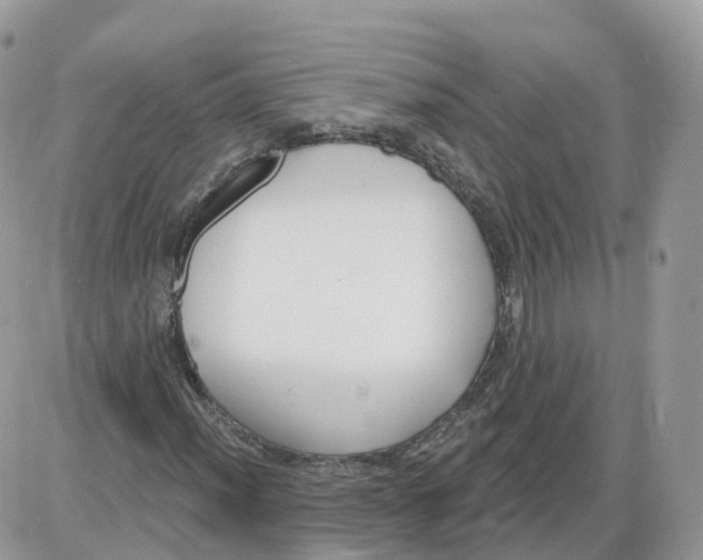 X0000086071012200704202121