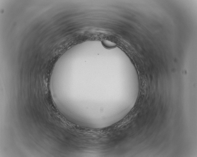 X0000086071013200704202121