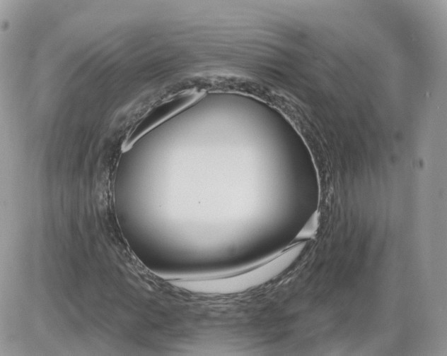 X0000086071014200704202121