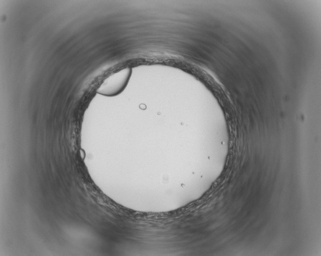 X0000086071016200704202121