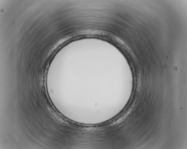 X0000086071017200704202121