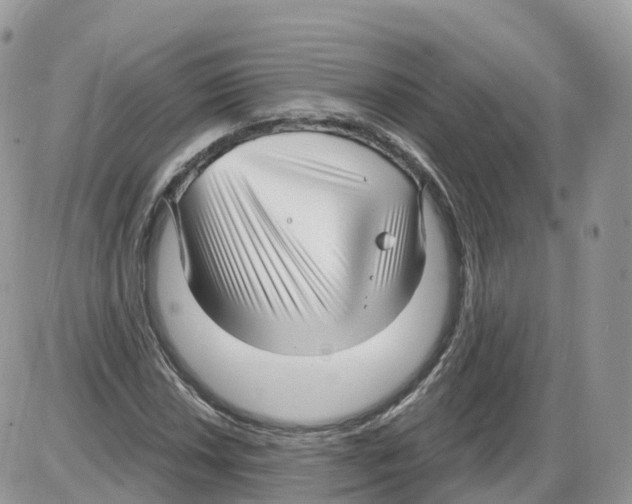 X0000086071018200704202121