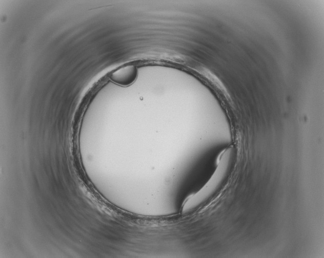 X0000086071020200704202121