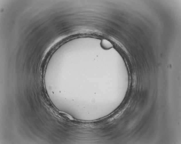 X0000086071021200704202121