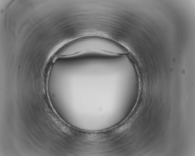 X0000086071022200704202121