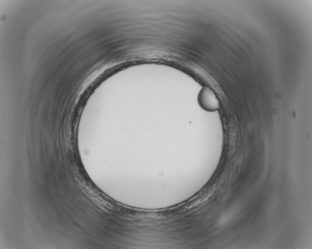 X0000086071023200704202121