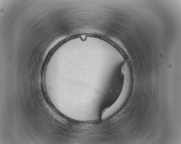 X0000086071024200704202121