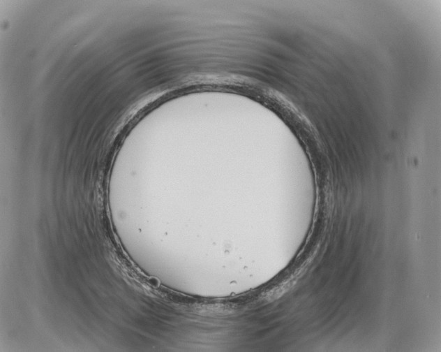 X0000086071025200704202121