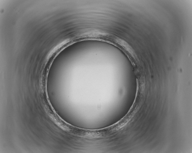 X0000086071026200704202121