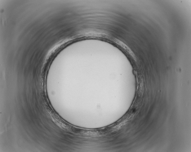 X0000086071027200704202121