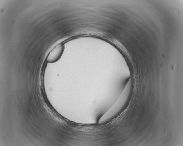 X0000086071028200704202121