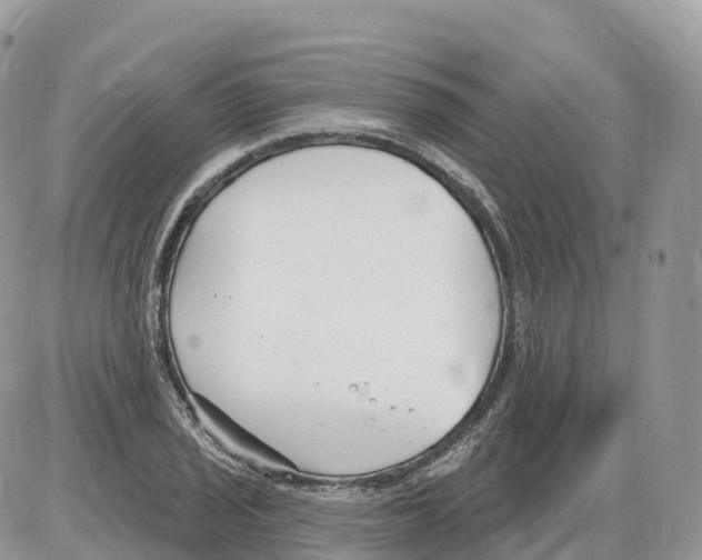 X0000086071029200704202121